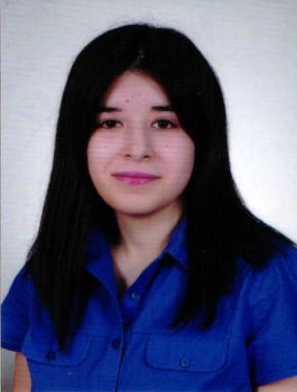Dr. Öğr. Üyesi Beyza TORUN